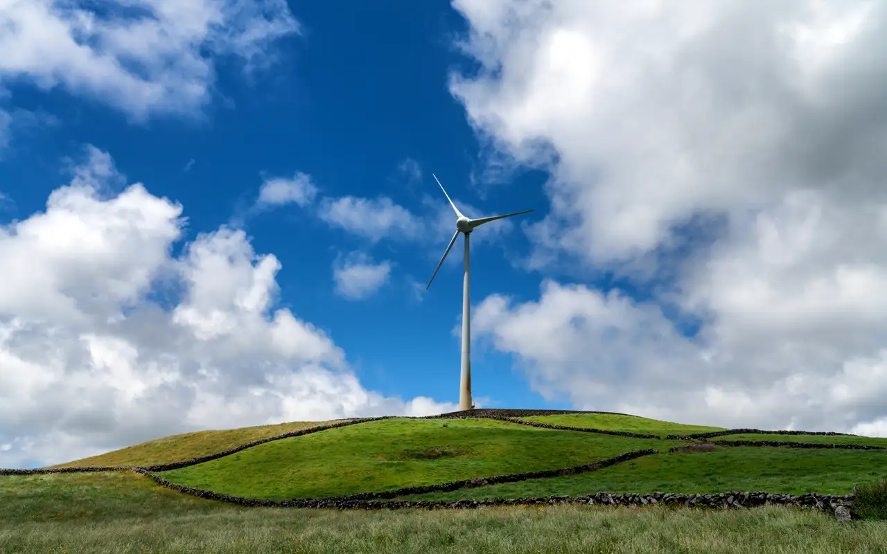 Día Internacional de la Energía Limpia- un compromiso global que requiere esfuerzos conjuntos