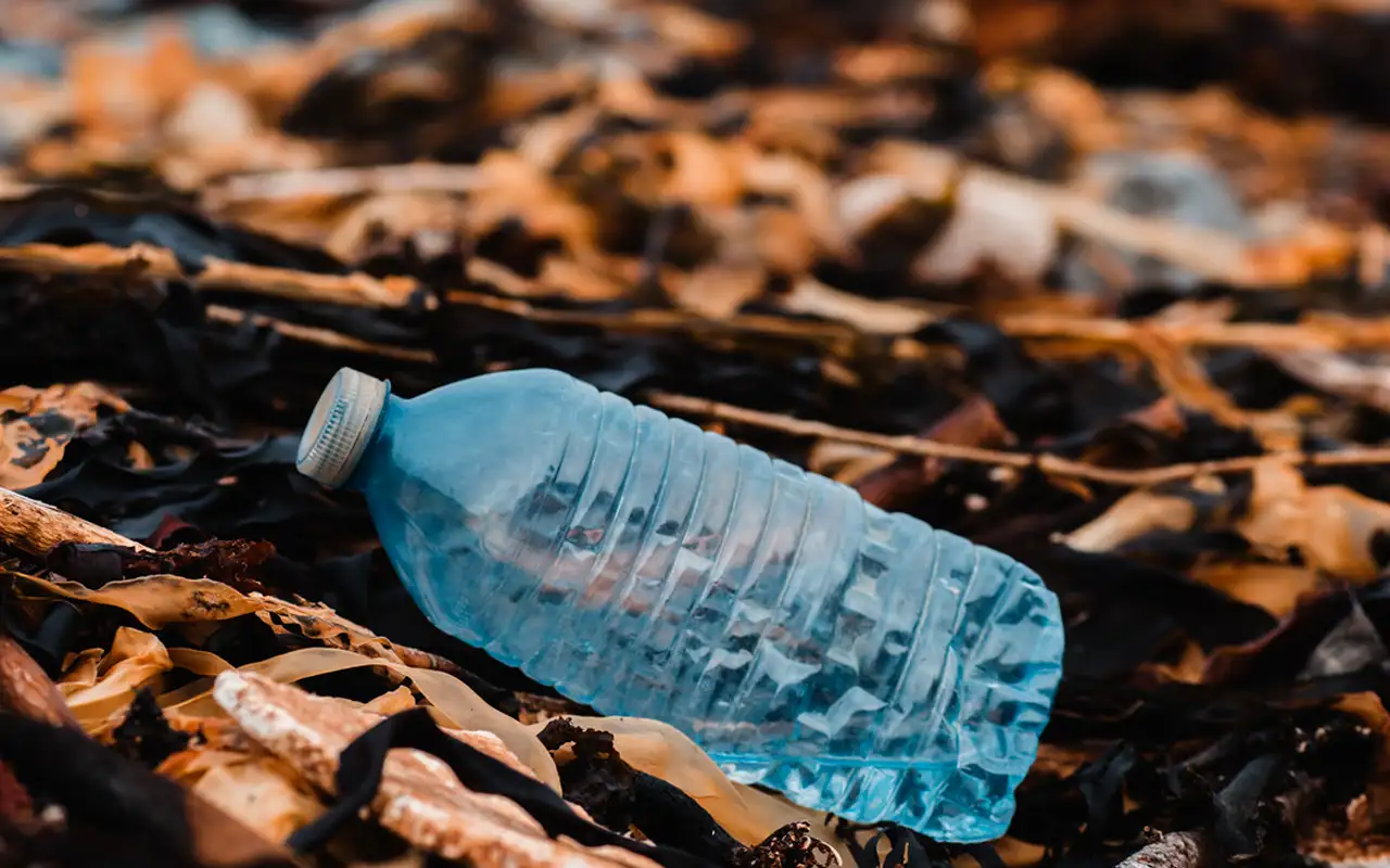 Educación ambiental, oportunidad para incrementar la separación de residuos