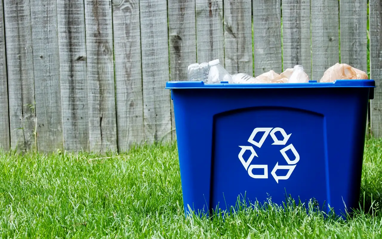 El camino hacia cero desechos es posible con cambios en el consumo y producción