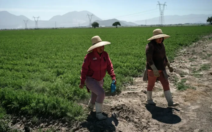 Red BAMX lanza llamado urgente ante la crisis ambiental y alimentaria