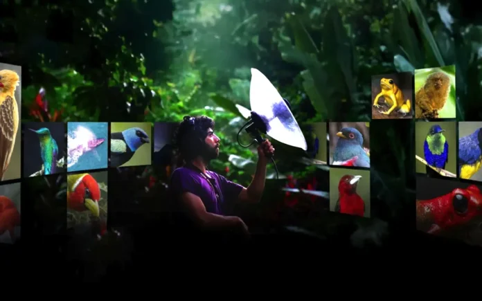 McCANN Worldgroup, la gran protagonista de los IAB Mixx Awards 2025