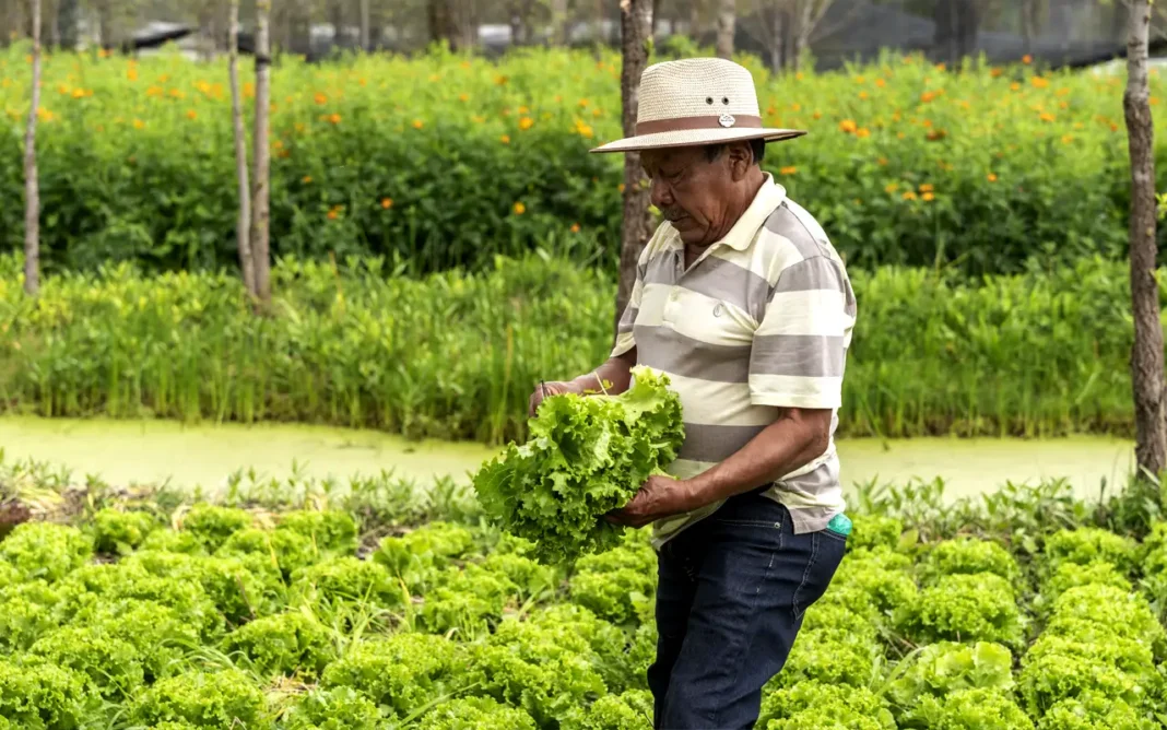 Amazon impulsa sustentabilidad y acción climática en México por el Clima