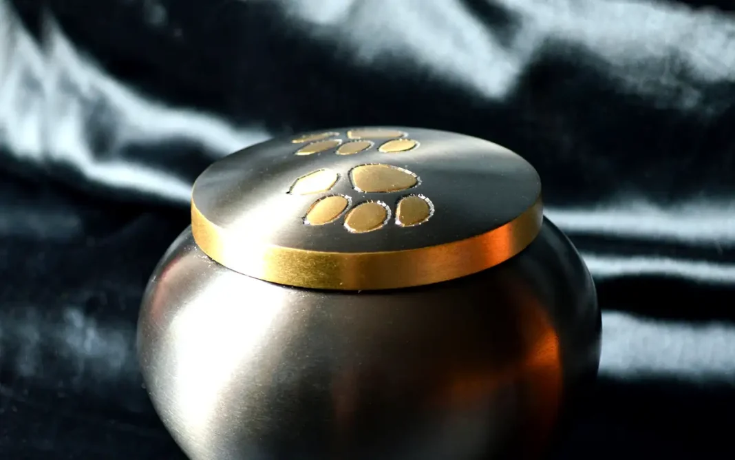 ¿Cómo superar la muerte de una mascota? 7 recomendaciones para afrontar el duelo