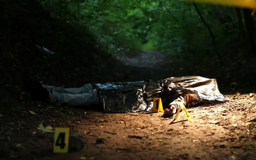 Crimen y violencia la principal preocupación de los mexicanos: Ipsos