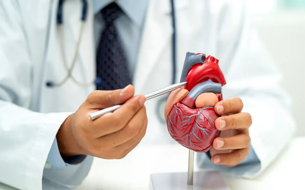 5 factores de riesgo y cómo reducir las enfermedades del corazón en México