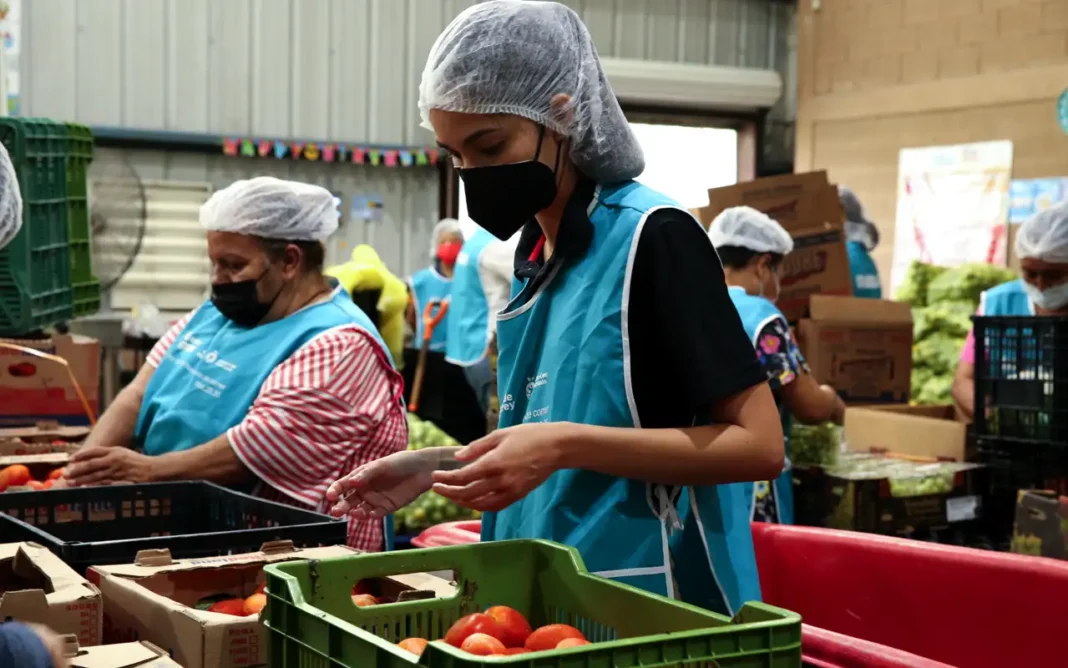 Rescate de alimentos la solución sostenible de México frente a la inflación alimentaria