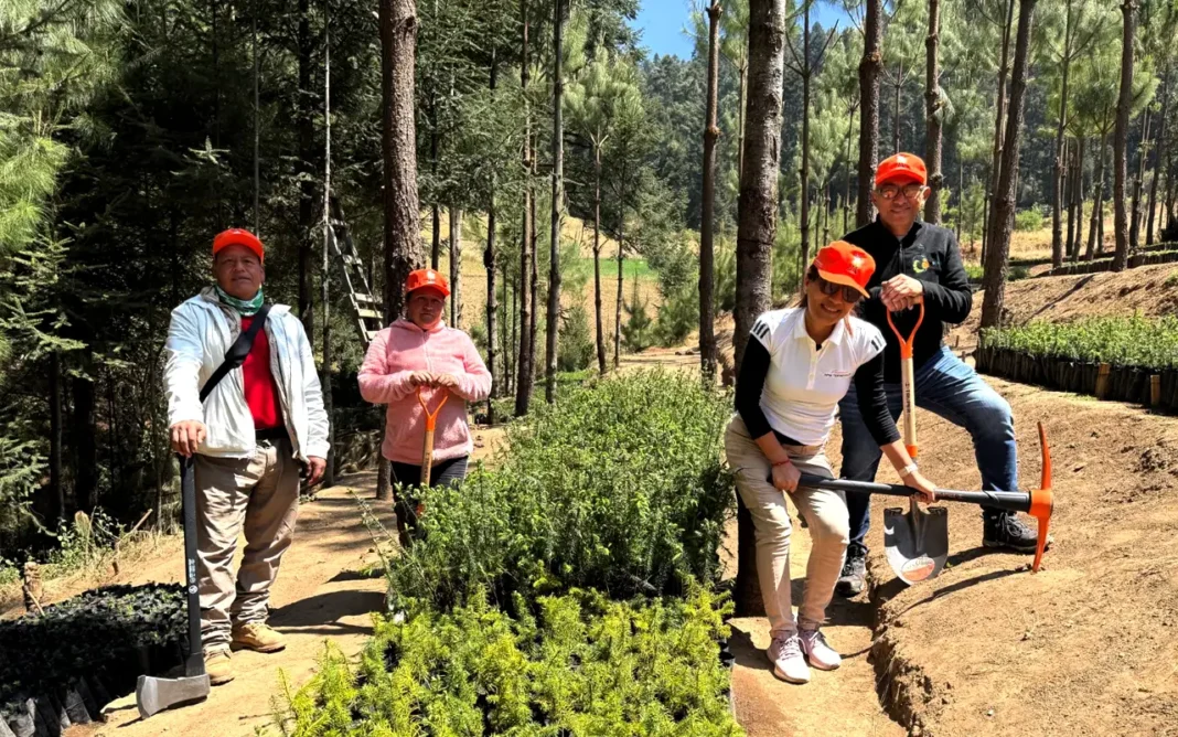 APM Terminals México fortalece el hogar de la mariposa monarca