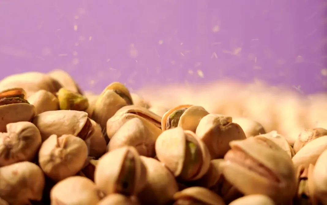 Grupo Cimarrón invierte 20 millones de dólares en nueva planta de confitería, bebidas y frutos secos Grupo Cimarrón invierte 20 millones de dólares en nueva planta de confitería, bebidas y frutos secos