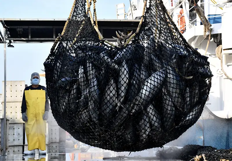 Buque atunero Grupomar Tuny flota pesquera Manzanillo