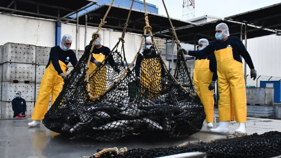 Día Mundial del Pescador industria atunera México Grupomar