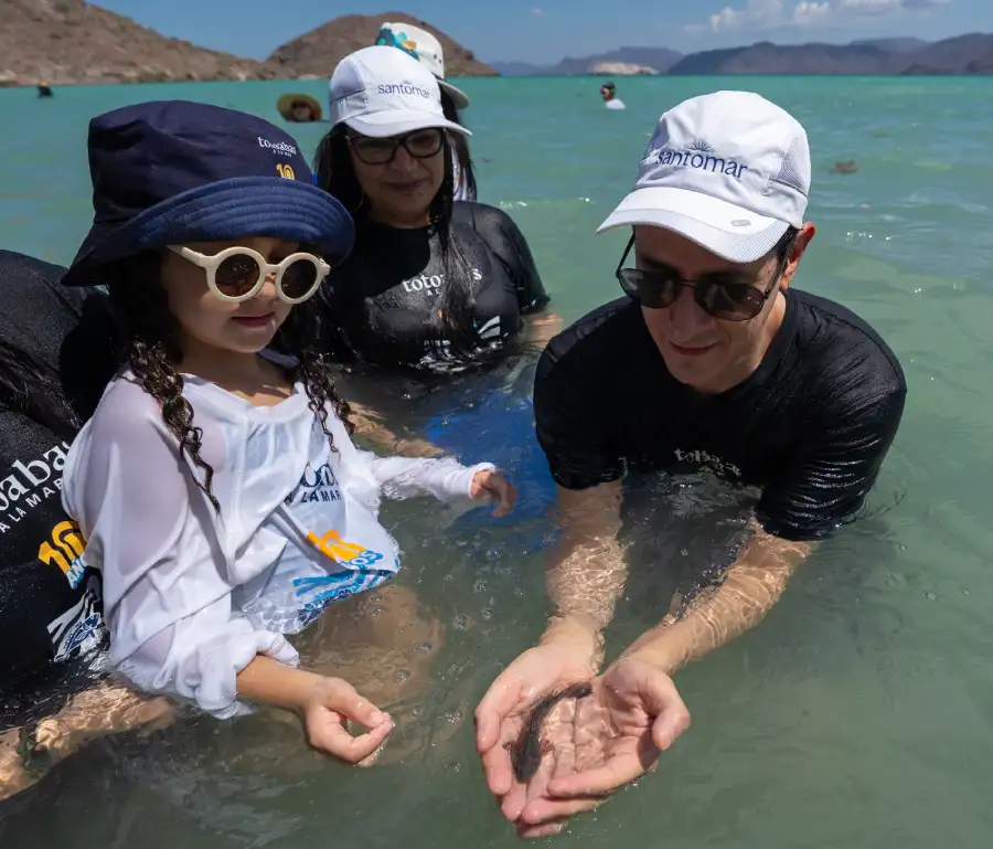 Acuacultura regenerativa Santomar Mar de Cortés