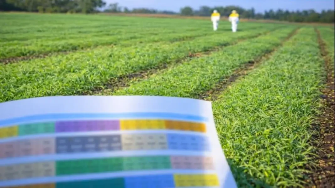 HEINEKEN México innovación sustentable Bioram HEINEKEN México innovación sustentable Bioram