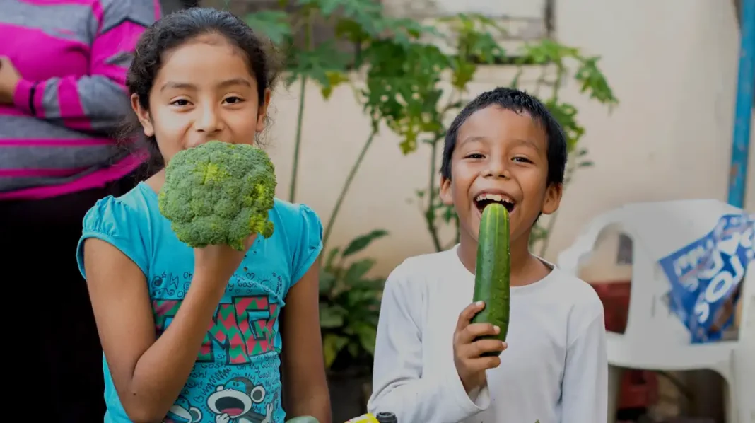 Impacto social Red BAMX beneficiarios alimentos