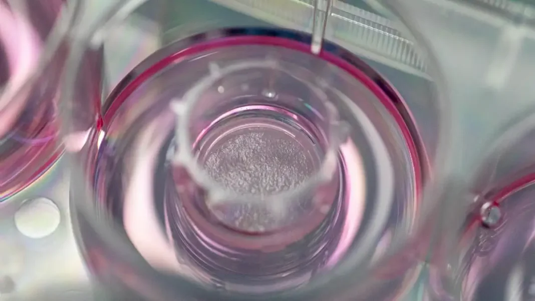 L’Oréal México belleza libre crueldad