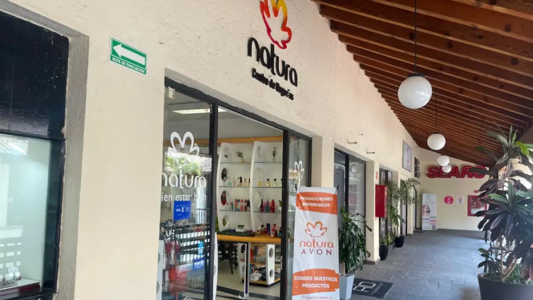 Natura Día de la Tierra regeneración ambiental