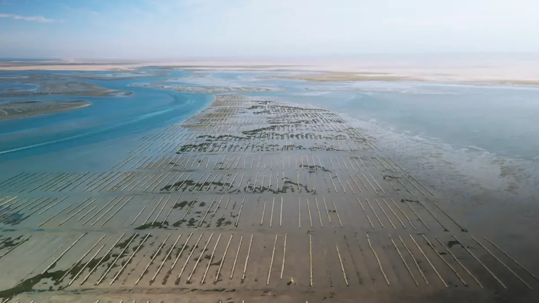 Santomar acuacultura sustentable México marcas