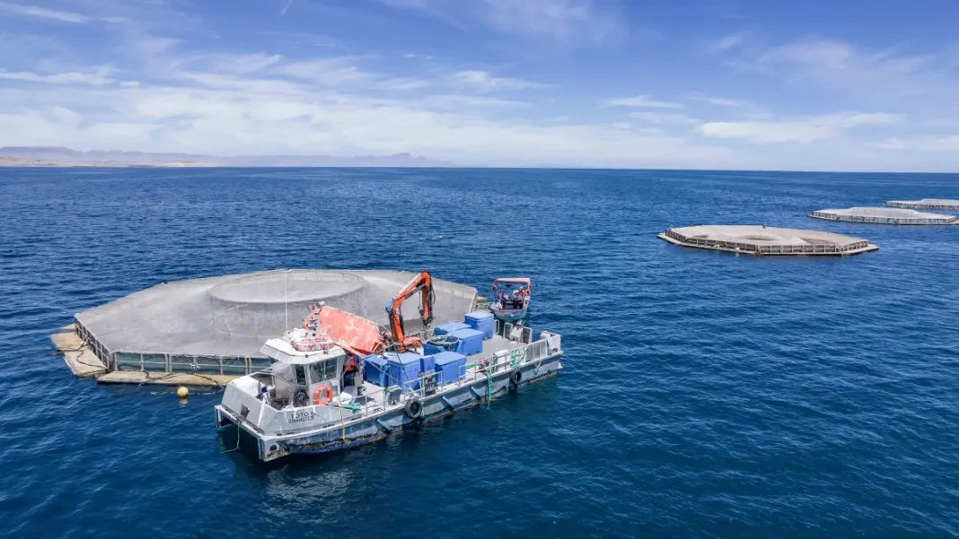 Santomar acuacultura sustentable mexico huachinango