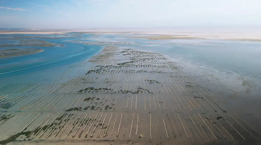 acuacultura regenerativa santomar mar de cortes