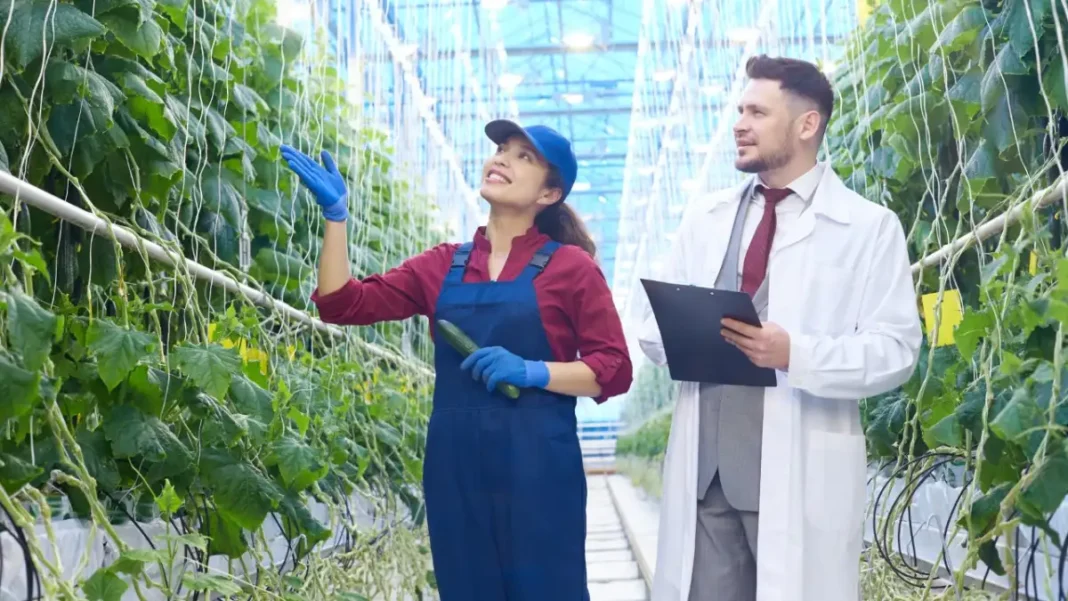 EY adquiere MB Agro inteligencia agrícola