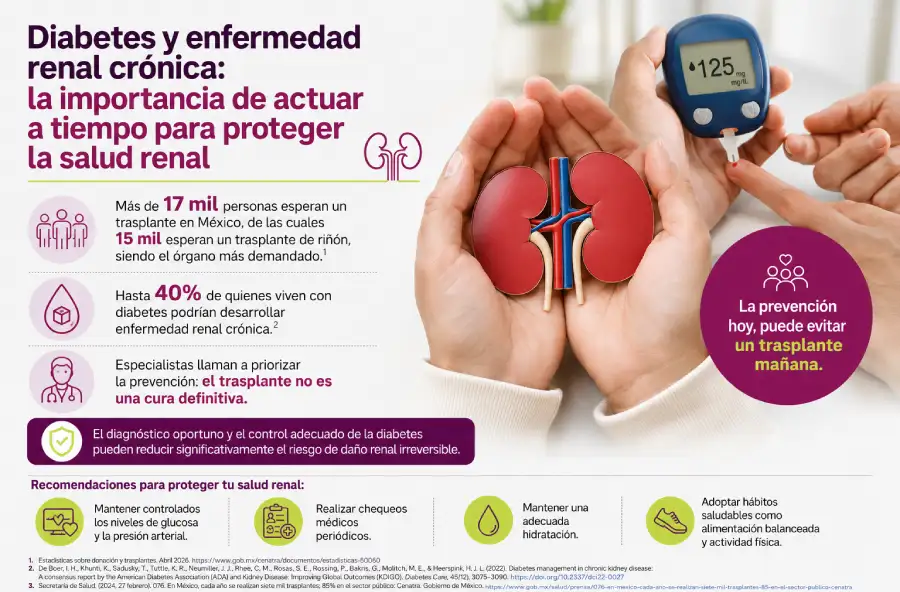 especialista médico revisando diagnóstico renal