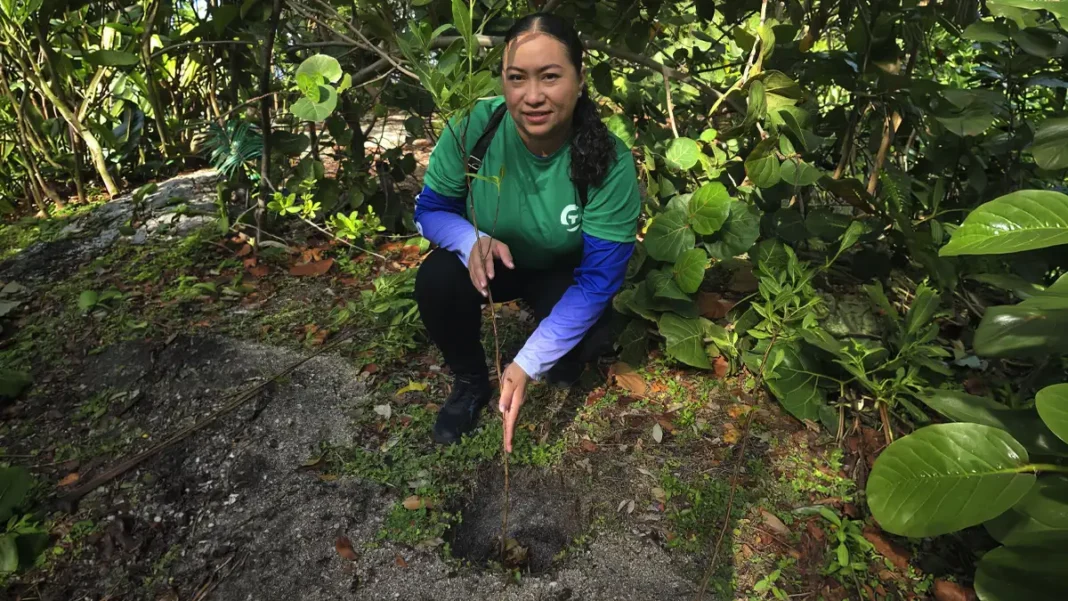 Trabajadores plantando árboles recuperación suelo ecosistemas Trabajadores plantando árboles recuperación suelo ecosistemas