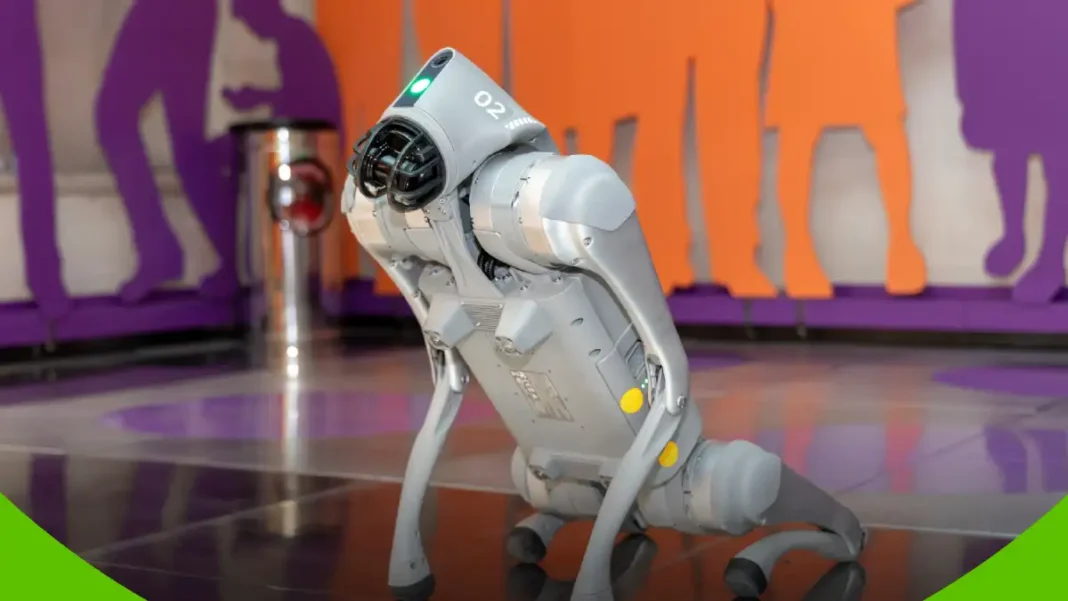 Exhibición de verano y tecnología en el MIDE