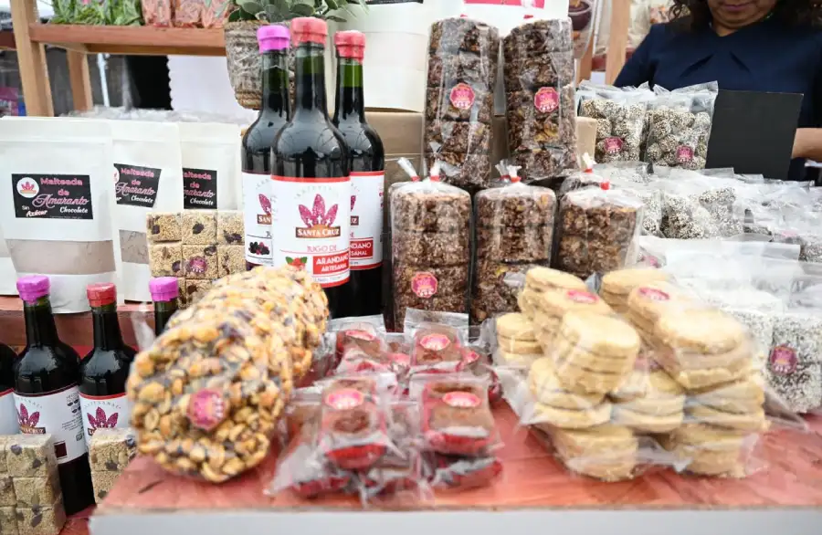 Módulo de la Feria del Amaranto